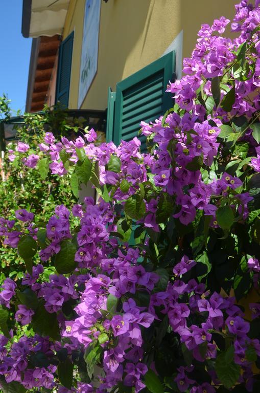 La Meridiana Affittacamere Colorno Bagian luar foto